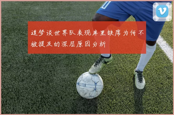 追梦谈世界队表现库里缺席为何不被提及的深层原因分析